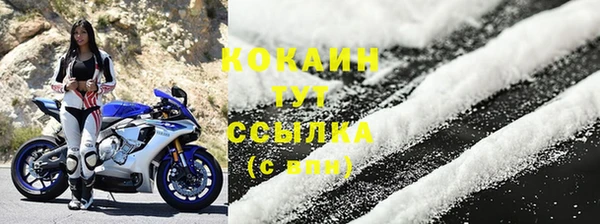 PSILOCYBIN Остров