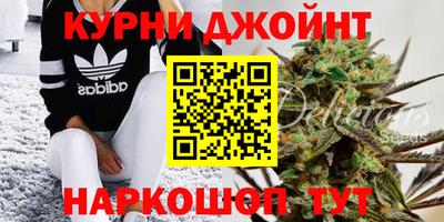 ГАЛЛЮЦИНОГЕННЫЕ ГРИБЫ Берёзовский