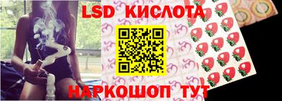 ГАЛЛЮЦИНОГЕННЫЕ ГРИБЫ Берёзовский