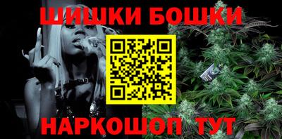 гашик Бийск