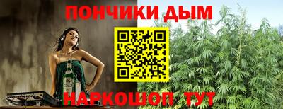 гашик Бийск