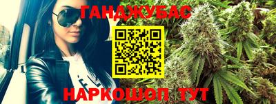 крисы Беслан