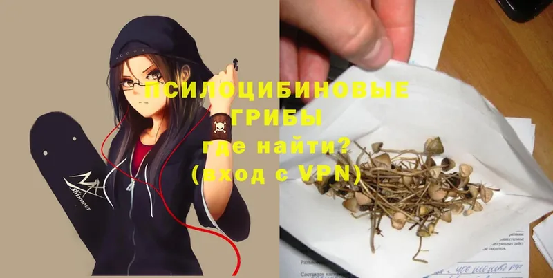 наркошоп  Бугуруслан  mega   Псилоцибиновые грибы Magic Shrooms 