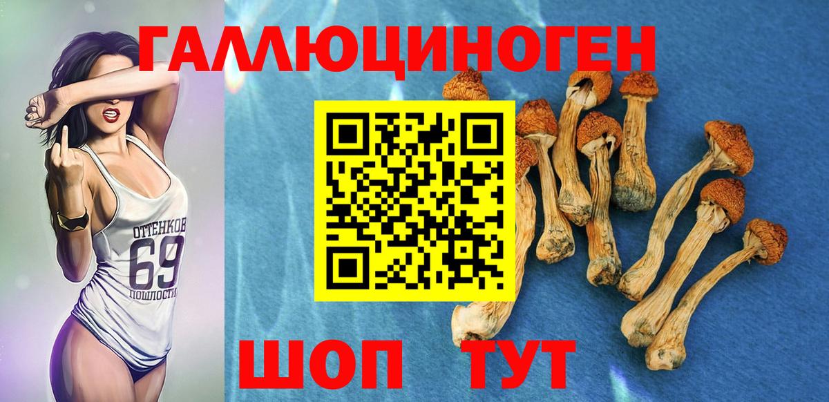 Псилоцибиновые грибы мухоморы  Псилоцибиновые грибы Cubensis  Вход с VPN  Бугуруслан 