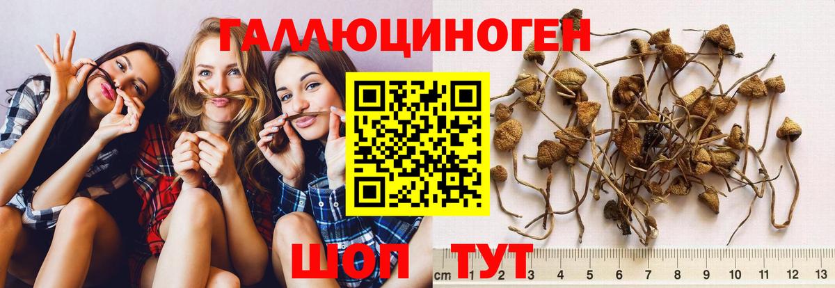 Галлюциногенные грибы GOLDEN TEACHER Бугуруслан